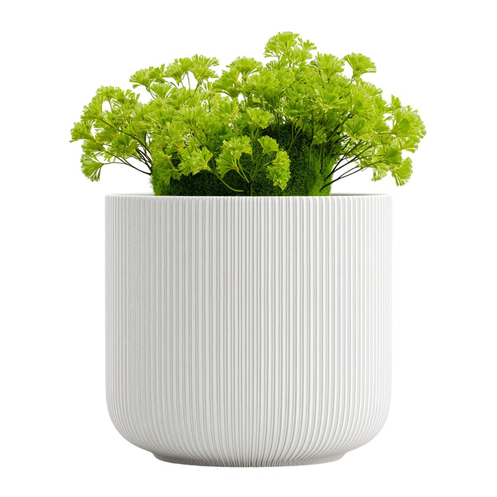 Ripple Pure White Ceramic Planter - Embossed Texture
